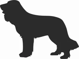polski-spaniel-mysliwski-naklejka-na-samochod-laptopa-telefon