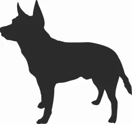 australian-cattle-dog-naklejka-na-samochod-laptopa-telefon