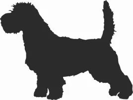 petit-basset-griffon-vendeen-naklejka-na-samochod-laptopa-telefon