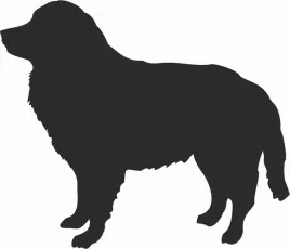 kuvasz-naklejka-na-samochod-laptopa-telefon