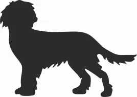 plochacz-niemiecki-wachtelhund-naklejka-na-samochod-laptopa-telefon