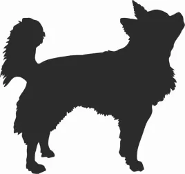 chihuahua-dlugowlosa-naklejka-na-samochod-laptopa-telefon