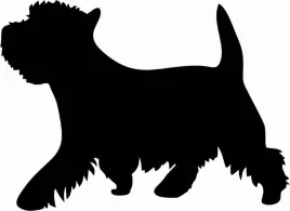 west-highland-white-terrier-naklejka-na-samochod-laptopa-telefon
