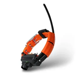 dodatkowa-obroza-dogtrace-dog-gps-x25tb-short
