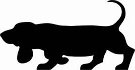 basset-hound-naklejka-na-samochod-laptopa-telefon