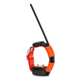 dodatkowa-obroza-dogtrace-dog-gps-x25t-short