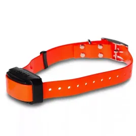 dodatkowa-obroza-dogtrace-d-control-professional