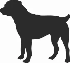 rottweiler-naklejka-na-samochod-laptopa-telefon