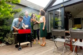 grill-ogrodowy-weglowy-przenosny-ruszt-kolka
