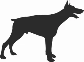doberman-naklejka-na-samochod-laptopa-telefon
