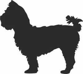 yorkshire-terrier-naklejka-na-samochod-laptopa-telefon