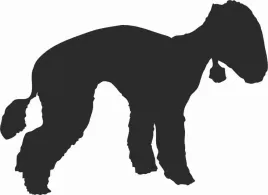 bedlington-terier-naklejka-na-samochod-laptopa-telefon