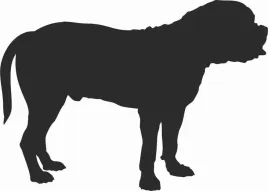 bullmastiff-naklejka-na-samochod-laptopa-telefon