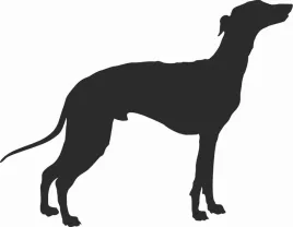 greyhound-naklejka-na-samochod-laptopa-telefon