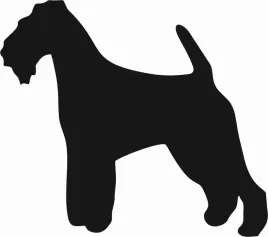 welsh-terrier-naklejka-na-samochod-laptopa-telefon