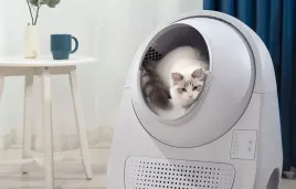 catlink-scooper-young-version-automatyczna-samoczyszczaca-kuweta-dla-kotow