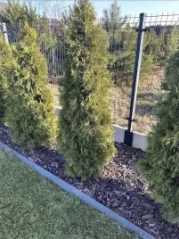 linia-kroplujaca-xxl-100m-100el-nawodnienie-kropelkowe-waz-kropelkujacy