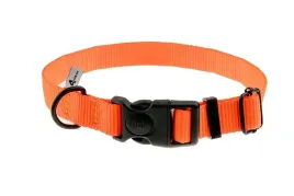 obroza-z-tasmy-25-mm-neonowa-pomarancza-37-57-cm-widoczna