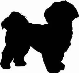 shih-tzu-naklejka-na-samochod-laptopa-telefon