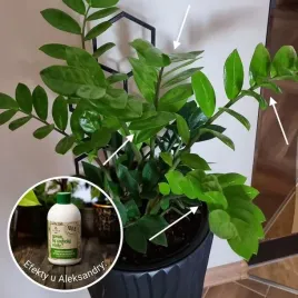 spraw-by-szybciej-rosly-500-ml-or-plant-loveror-stymulator-wzrostu-do-roslin