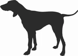 pointer-naklejka-na-samochod-laptopa-telefon