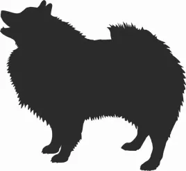 szpic-wilczy-naklejka-na-samochod-laptopa-telefon