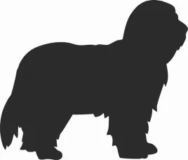 bearded-collie-naklejka-na-samochod-laptopa-telefon