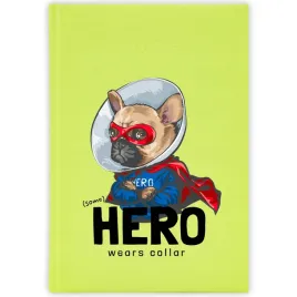 kalendarz-ksiazkowy-2026-hero-wears-collar-seledynowy-planer-prezent-wzory