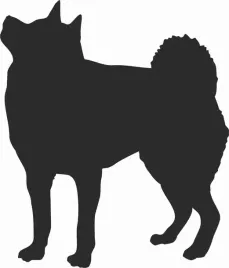 shiba-naklejka-na-samochod-laptopa-telefon