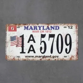 tablica-rejestracyjna-z-usa-metalowa-maryland
