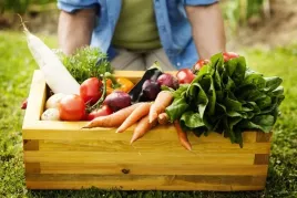 obornik-kurzy-granulowany-optima-10l-naturalny-eko-nawoz-biovita
