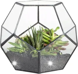 terrarium-kwietnik-hydroponiczny-wazon-szklany-vintage-duzy-na-rosliny-xxl
