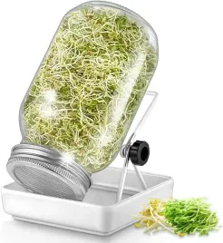 kielkownica-sloikowa-kielkownik-sloik-do-kielkow-naczynie-na-nasiona-kielki