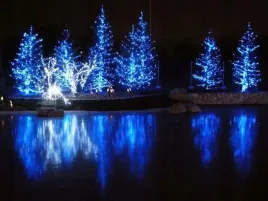 lampki-choinkowe-500-led-38m-bialy-cieply-wew-zew