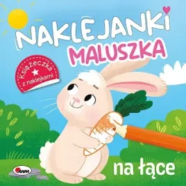 pierwsza-ksiazeczka-z-naklejkami-naklejki-naklejanki-maluszka-na-lace