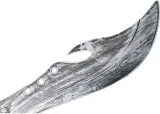 miecz-piracki-50cm-opaska-kod-producenta-fg17134