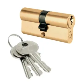 wkladka-do-zamka-lob-12119139