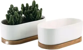 2x-doniczki-na-sukulenty-ceramiczne-owalne-podstawki-drewno-kwiaty-rosliny