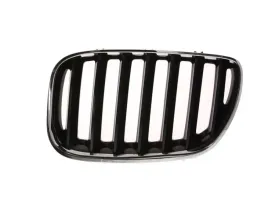 atrapa-l-do-bmw-x5-e53-12-03-12-06-6502-07-0095995p