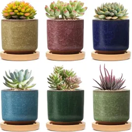 6x-doniczki-ceramiczne-na-sukulenty-kaktusy-podstawki-drewno-okragle