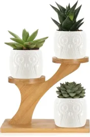 3x-doniczki-na-sukulenty-porcelanowe-ze-stojakiem-drewnianym-kwietnik-duzy