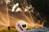shelly-plus-add-on-adapter-czujnikow-rodzaj-czujnika-temperatury-seria-shelly-plus