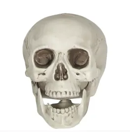 czaszka-biala-20cm-halloween-dekoracja
