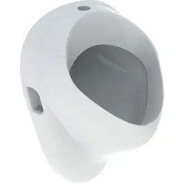 geberit-pisuar-geberit-felix-doplyw-u-gory-odplyw-do-tylu-lub-w-dol