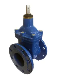 zasuwa-klinowa-ecovalve-do-wody-kolnierzowa-dn65-pn16-krotka-f4-miekkou