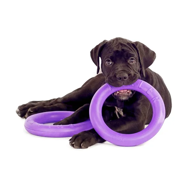 puller-aport-trening-uniwersalny-sklad-zestawu-zabawka