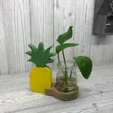 ozdoba-hydroponiczna-ananas