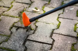 szczotka-mechaniczna-do-szorowania-bradas