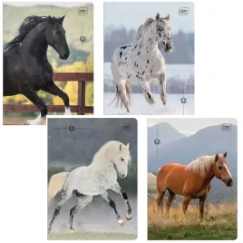 zeszyt-a5-32k-w-3-linie-kolor-interdruk-wild-horses-konie-4szt