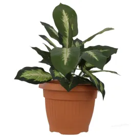 donica-klasyczna-tradycyjna-terrakota-srednica-13-cm